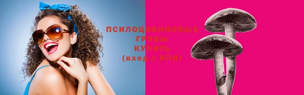 стафф Кулебаки