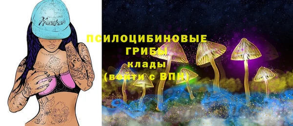экстази Краснослободск
