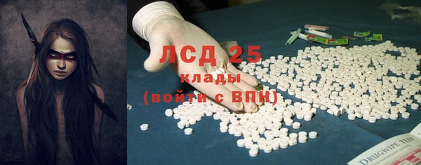 стаф Кукмор